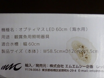 十姉妹（ジュウシマツ）