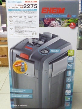 フクロモモンガ