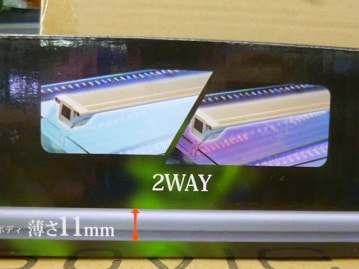 十姉妹（ジュウシマツ）