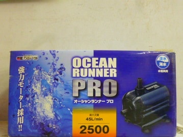 ジャンボセキセイインコ