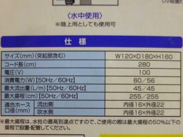 ジャンボセキセイインコ