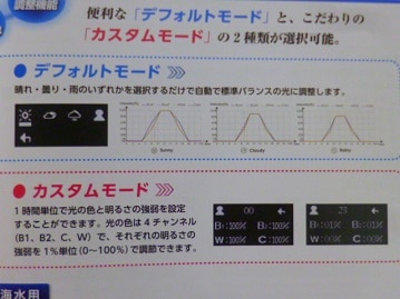 ジャンボセキセイインコ