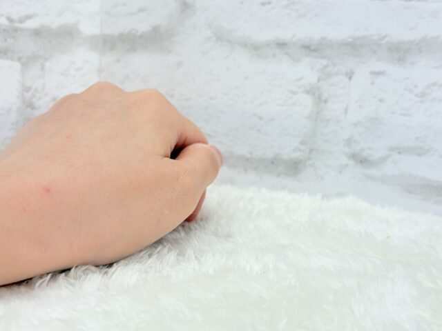 ゴールデンハムスター