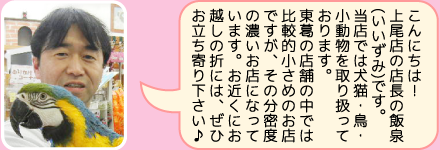 東葛ペット上尾店の店長｜飯泉のご紹介