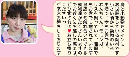 東葛ペット船橋二和店のスタッフ｜岡村のご紹介