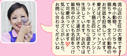 東葛ペット流山店のスタッフ｜大塚のご紹介