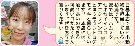 東葛ペット本店のスタッフ｜杉浦のご紹介
