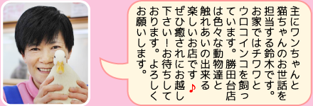 東葛ペット勝田台店のスタッフ｜鈴木のご紹介
