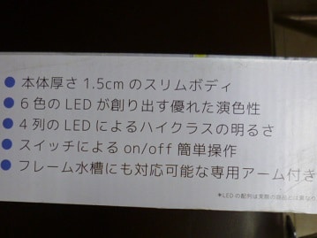 手乗りジャンボセキセイインコ　ヒナ　１月１８日