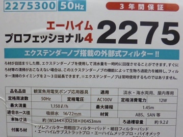 フクロモモンガ　ノーマルの女の子